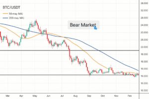 Bear Market grafico